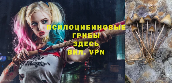 apvp Арсеньев