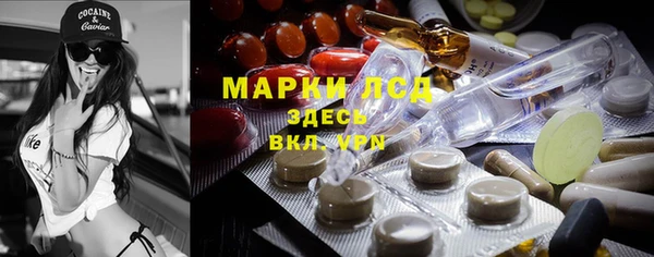 гашик Аркадак