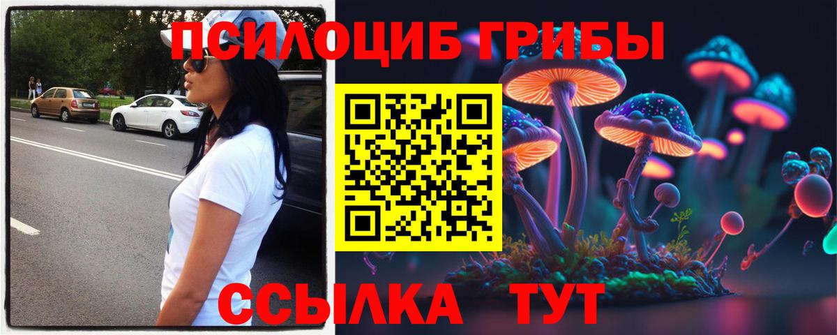 Усть-Джегута  Галлюциногенные грибы мухоморы  купить наркотик  Вход с VPN 